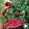 Како искористити новац од кредита?