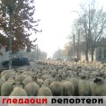 Гледаоци репортери (19. новембар 2011.)