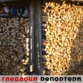Гледаоци репортери (25. новембар 2011.)