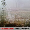 Гледаоци репортери (27. новембар 2011.)