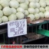Гледаоци репортери (30. новембар 2011.)