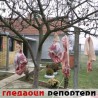 Гледаоци репортери (1. децембар 2011)