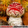 Гледаоци репортери (2. децембар 2011)