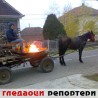 Гледаоци репортери (15. децембар 2011)