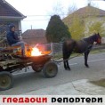 Гледаоци репортери (15. децембар 2011)