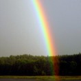 Фамилиологија