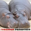 Гледаоци репортери (19. децембар 2011)