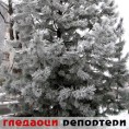 Гледаоци репортери (30. децембар 2011)