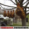 Гледаоци репортери (7. јануар 2012)