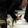 Крокодил у посети папи 