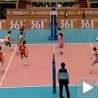 До последњег смеча