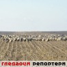 Гледаоци репортери (24. јануар 2012)