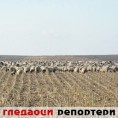 Гледаоци репортери (24. јануар 2012)