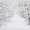 Мозаик времена