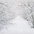 Мозаик времена