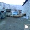 Нападе га вунени торнадо
