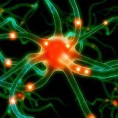 Стимулацијом мозга до боље меморије?
