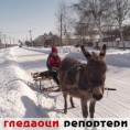 Гледаоци репортери (13. фебруар 2012)