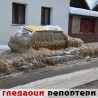 Гледаоци репортери (15. фебруар 2012)