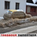 Гледаоци репортери (15. фебруар 2012)