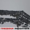 Гледаоци репортери (17. фебруар 2012)