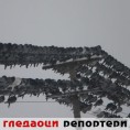 Гледаоци репортери (17. фебруар 2012)
