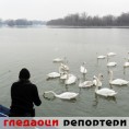 Гледаоци репортери (29. фебруар 2012)