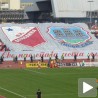 Војводино, срећан рођендан