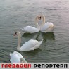 Гледаоци репортери (9. март 2012)