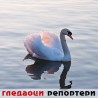 Гледаоци репортери (10. март 2012)