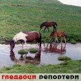 Гледаоци репортери (11. март 2012)