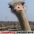 Гледаоци репортери (12. март 2012)