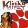 Клиника вет
