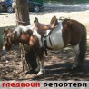 Гледаоци репортери (14. март 2012)
