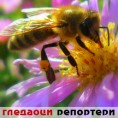 Гледаоци репортери (26. март 2012)