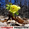 Гледаоци репортери (27. март 2012)