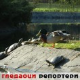 Гледаоци репортери (28. март 2012)