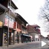 Јања, симбол суживота