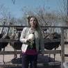 Грађанин