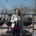 Грађанин