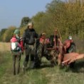 Странац у Србији: Вивијен и Боудвин