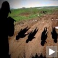Окрутна и насумична ликвидација 