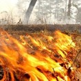 Угашен шумски пожар на Голији