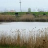 Случај "Монструм": Нова кривична пријава 