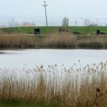 Случај "Монструм": Нова кривична пријава 