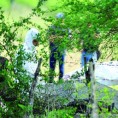 Сетас одговоран за масакр