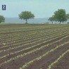Грађанин