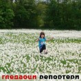 Гледаоци репортери (31. мај 2012)