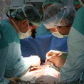 Ћелије коже трансформисане у ћелије срца