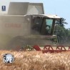 Шта радите, бре